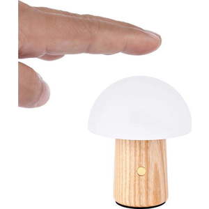 LED stmívatelná stolní lampa z jasanového dřeva v přírodní barvě (výška 7 cm) Alice – Gingko obraz