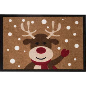 Rohožka Hanse Home Reindeer, 40 x 60 cm obraz