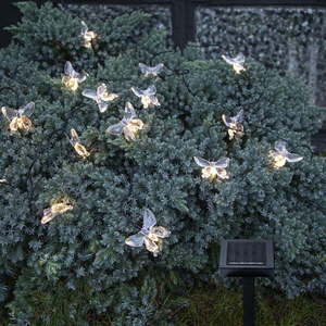 Solární světelný řetěz počet žárovek 15 ks délka 280 cm Papillon – Star Trading obraz