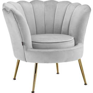 Světle šedé sametové křeslo Kelsey – Støraa obraz