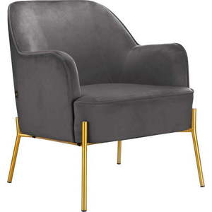 Šedé sametové křeslo Runa – Støraa obraz