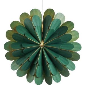 Zelená světelná dekorace s vánočním motivem ø 45 cm Marigold – Markslöjd obraz