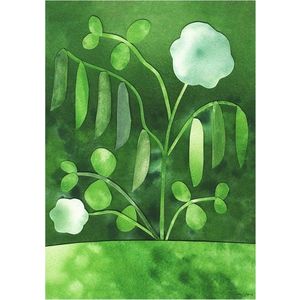 Plakát 50x70 cm Peas in Bloom – Anna Ravn Bjørn – The Poster Club obraz