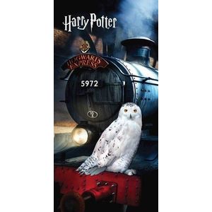 Bavlněná dětská osuška 70x140 cm Harry Potter "Hedwig" – Jerry Fabrics obraz