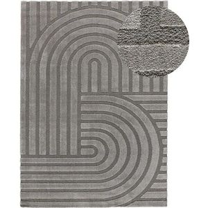 Šedý koberec 160x230 cm Snowy – Universal obraz