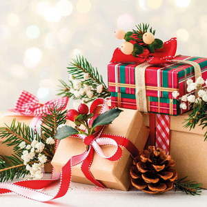 Ubrousky v sadě 20 ks 33x33 cm Noel – Homéa obraz