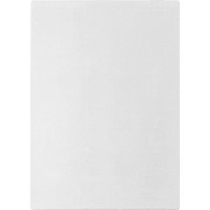 Bílý koberec 160x220 cm Joy 1400 – Ayyildiz Carpets obraz