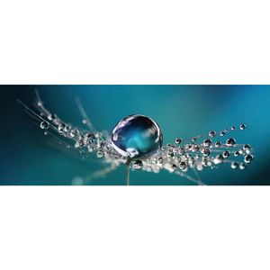 Euroart OBRAZ NA SKLE, květiny, 30/80/1, 40 cm obraz