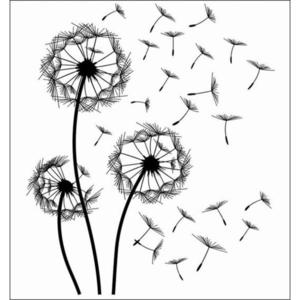 Euroart SAMOLEPKA NA ZEĎ obraz