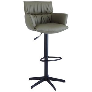 Dieter Knoll BAROVÁ ŽIDLE, černá, olivově zelená obraz