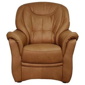 Cantus KŘESLO, kůže, koňaková obraz