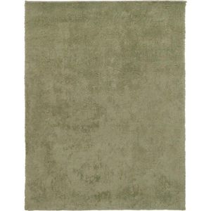 Boxxx TKANÝ KOBEREC, 80/150 cm, zelená, šalvějově zelená obraz