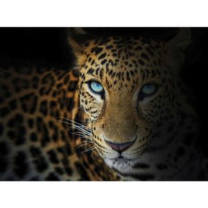 Euroart MALBA NA PLÁTNĚ, zvířata, 135/100 cm obraz