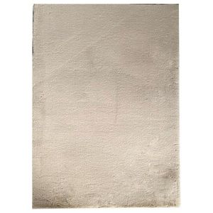 KOBEREC S VYSOKÝM VLASEM, 130/190 cm, béžová obraz