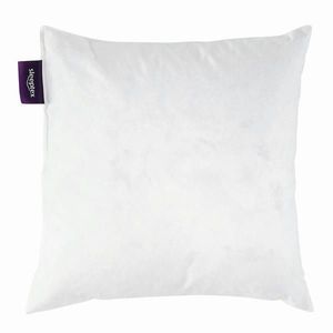 Sleeptex VÝPLŇ POLŠTÁŘE 40/40 cm obraz