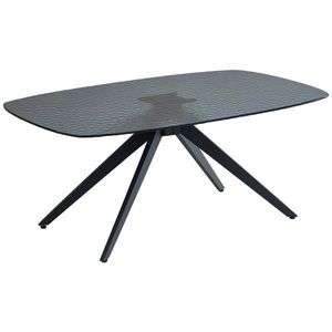 Boxxx KONFERENČNÍ STOLEK, černá, kov, sklo, 110/70/44 cm obraz