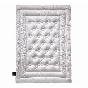 Billerbeck ZIMNÍ PŘIKRÝVKA, 135/200 cm, obraz