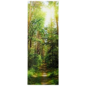 Euroart OBRAZ NA SKLE, krajina a příroda, 30/80/1, 40 cm obraz