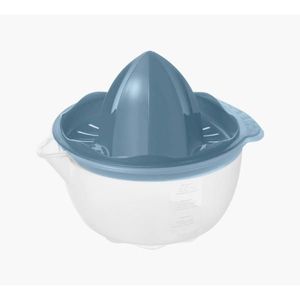 Rotho LIS NA CITRONY obraz