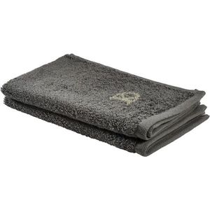 Dieter Knoll RUČNÍK PRO HOSTY, 30/50 cm, šedá, zelená obraz