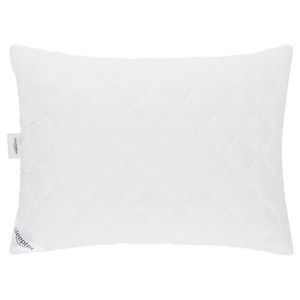 Sleeptex POLŠTÁŘ, 70/90 cm obraz