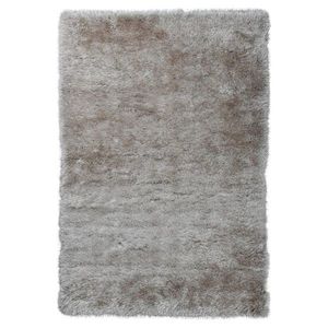 KOBEREC S VYSOKÝM VLASEM, 60/110 cm, šedavě hnědá obraz