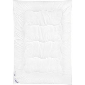 Sleeptex CELOROČNÍ PŘIKRÝVKA, 140/220 cm, polyester obraz