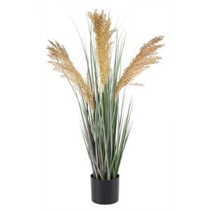 DEKORAČNÍ KVĚTINA obraz