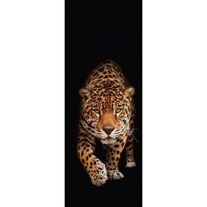 Euroart OBRAZ NA SKLE, zvířata, 30/80/1, 40 cm obraz