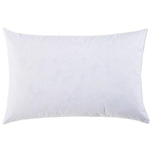 Sleeptex VÝPLŇ POLŠTÁŘE 40/60 cm obraz