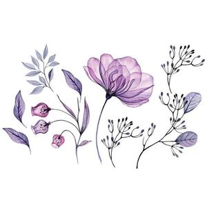 Euroart SAMOLEPKA NA ZEĎ obraz