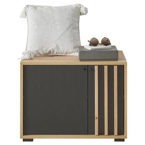 Carryhome ŠATNÍ LAVICE, 64, 3/47/38 cm obraz