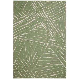 Ambia Garden VENKOVNÍ KOBEREC, 160/230 cm, šalvějově zelená obraz