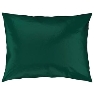 Novel POVLAK NA POLŠTÁŘ, 40/60 cm, bavlna obraz