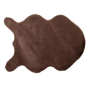 UMĚLÁ KOŽEŠINA, 55/80 cm, hnědá obraz