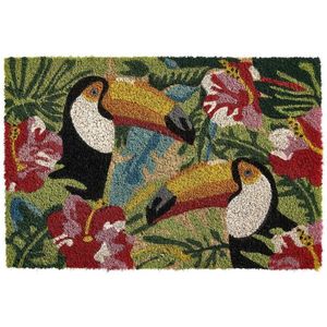 KOKOSOVÁ ROHOŽKA, obraz