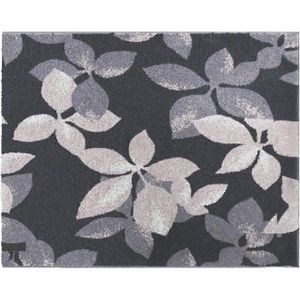 Esposa PŘEDLOŽKA K BIDETU, antracitová obraz