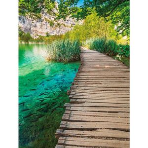 Euroart OBRAZ NA PLÁTNĚ, krajina a příroda, 60/80 cm obraz