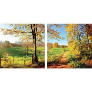 Euroart OBRAZ NA SKLE, krajina a příroda, 20/40 cm obraz