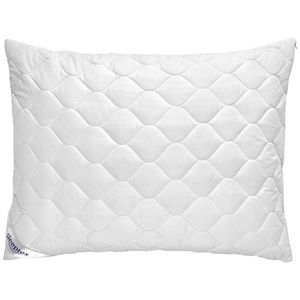 Sleeptex POLŠTÁŘ POD HLAVU, 70/90 cm obraz