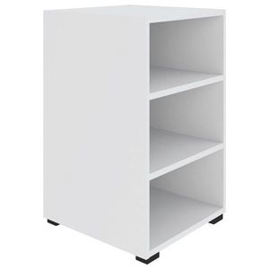 Hom`in REGÁL, bílá, 46/67/40 cm obraz