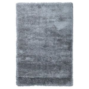 KOBEREC S VYSOKÝM VLASEM, 60/110 cm, šedá obraz