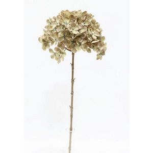 UMĚLÁ KVĚTINA 64 cm obraz