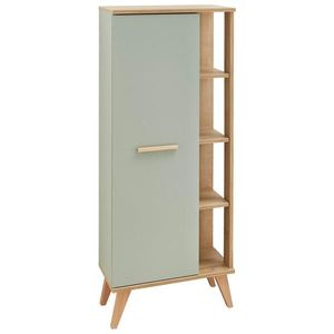 Xora MIDI SKŘÍŇKA, barvy dubu, pastelově zelená, 50, 5/128/33 cm obraz