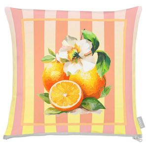 Apelt DEKORAČNÍ POLŠTÁŘ 48/48 cm obraz