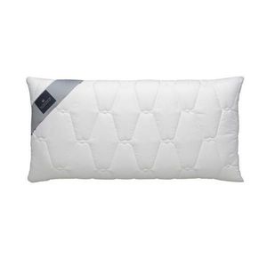 Billerbeck ŠÍJOVÝ OPĚRNÝ POLŠTÁŘ 40/80 cm obraz