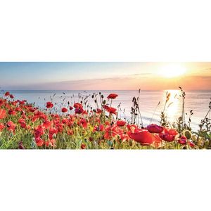 Euroart OBRAZ NA SKLE, krajina a příroda, 50/125/1, 40 cm obraz