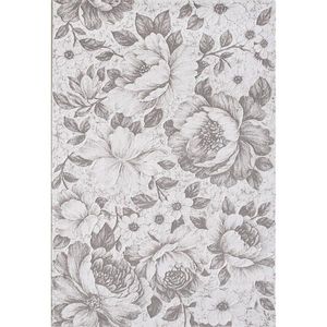 Novel TKANÝ KOBEREC, 120/170 cm, béžová obraz