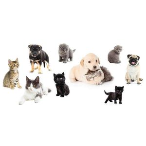 Euroart DEKORAČNÍ NÁLEPKA obraz