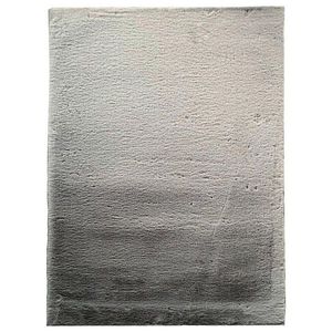 KOBEREC S VYSOKÝM VLASEM, 70/130 cm, barvy stříbra obraz